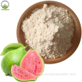 High quality Guava Powder in Beverage Field